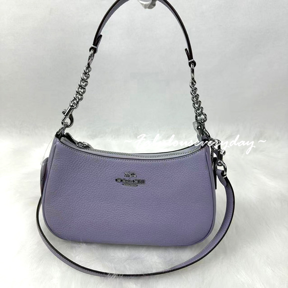 Coach Teri Shoulder/Crossbody Bag In Leather/Silver/Mist CV934 NWT - Picture 1 of 10